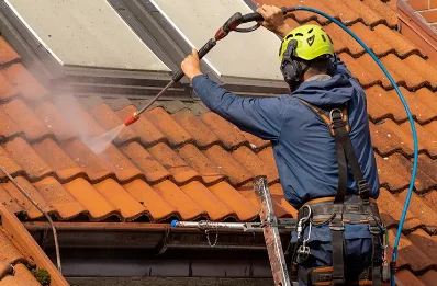 Démoussage et hydrofuge de toiture à Évisa