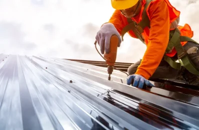 Travaux de zinguerie à Évisa